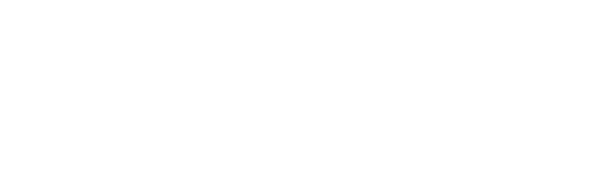 Q_PERIOR (heute Wavestone) Partner Logo – paricon Partnerschaft