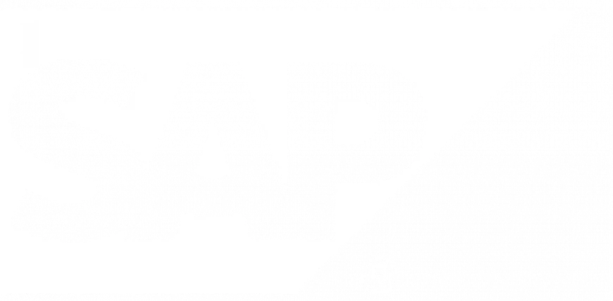 SAP Software Solutions Partner Logo (weiß) – paricon Partnerschaft